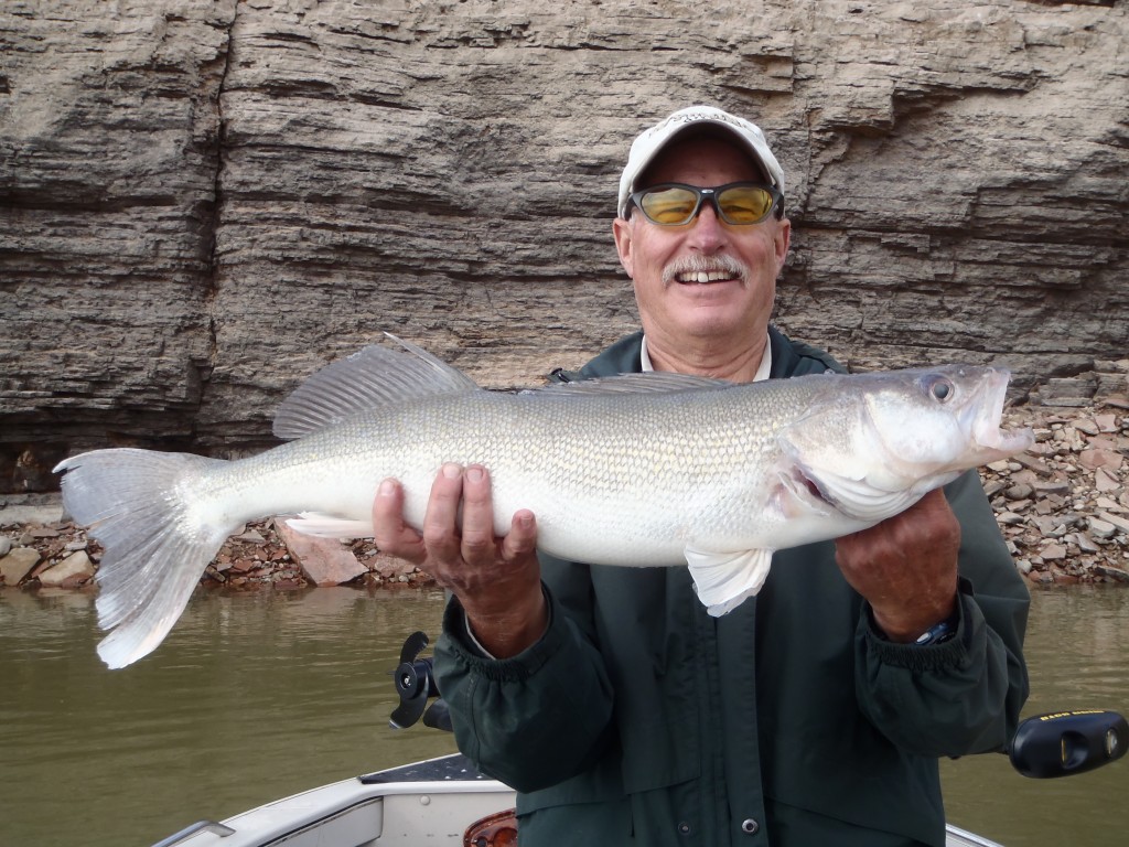 Walleye Fishing in Wyoming Two Dogs Guide Service